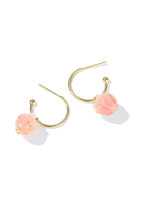 fruity hoops