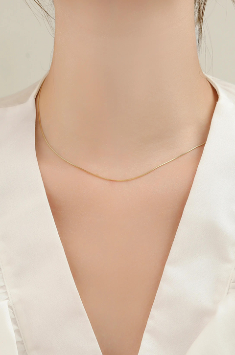 A thin gold necklace.