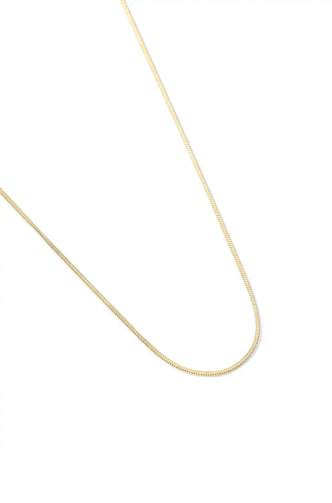 A thin gold necklace.